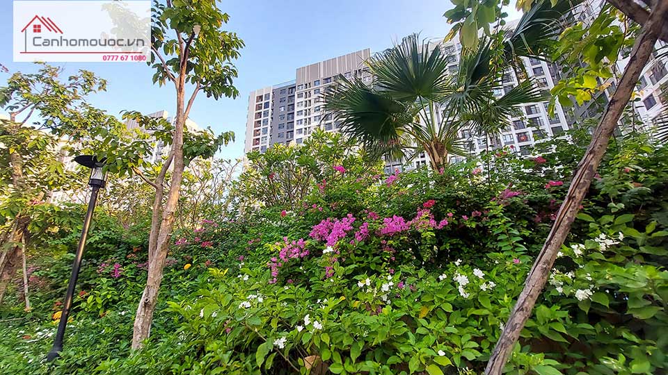 PICITY High Park - Quận 12 - Công viên Tháp C4