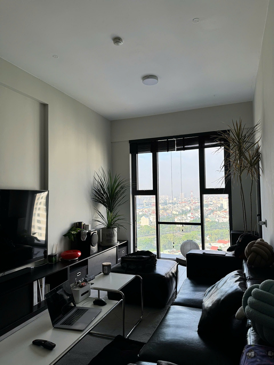 3pn2wc-picity-high-park-(7).jpg