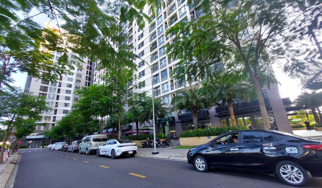 thap-c31-picity-high-park_(1)1.jpg