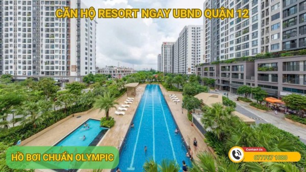 Giỏ hàng cho thuê - chuyển nhượng Picity High Park - Tháng 8/2025